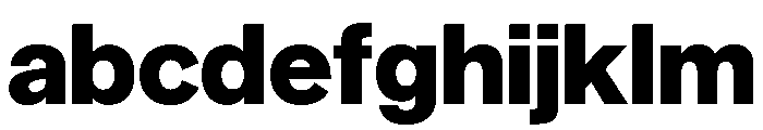 NYCSansv03 Extrabold Instance FONT