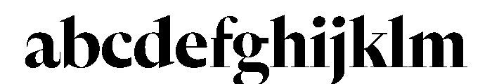 Nyck LBold Instance FONT