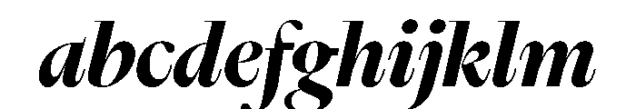 Nyck LBoldItalic Instance FONT
