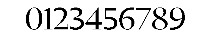 Nyck LRegular Instance Font OTHER CHARS
