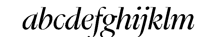 Nyck LRegularItalic Instance FONT