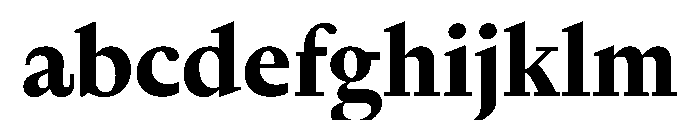 Nyck MBold Instance FONT