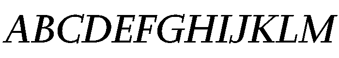 Nyck MTextItalic Instance Font UPPERCASE