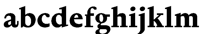 Nyck SBold Instance FONT
