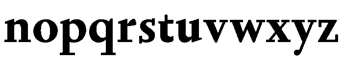 Nyck SBold Instance Font LOWERCASE