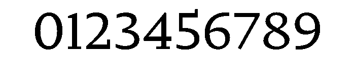 Nyck SRegular Instance Font OTHER CHARS