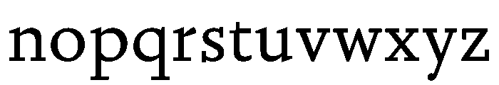 Nyck SRegular Instance Font LOWERCASE