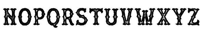 [OAKLAND] PERSONAL USE Regular Font LOWERCASE