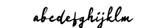 Oahenk Signature FONT