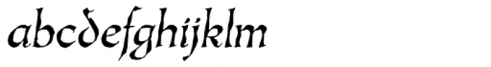 Oakgraphic Lx Italic Font LOWERCASE