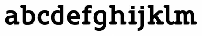 Oblik Serif Bold Font LOWERCASE