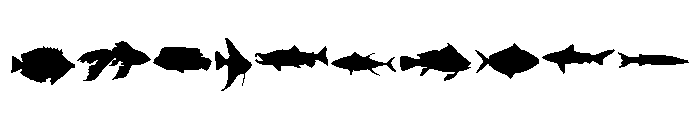 Ocean Fish Font OTHER CHARS