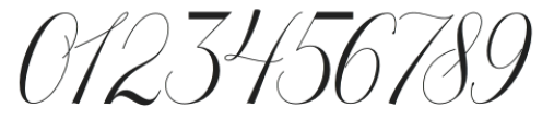 Octagon Calligraphy Regular otf (400) Font OTHER CHARS