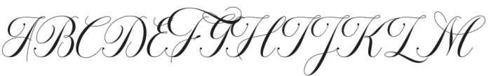 Octagon Calligraphy Regular otf (400) Font UPPERCASE