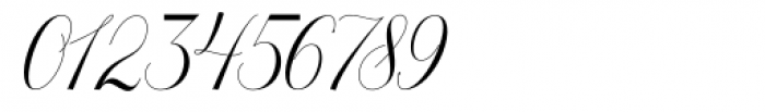 Octagon Calligraphy Regular Font OTHER CHARS