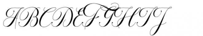 Octagon Calligraphy Regular Font UPPERCASE