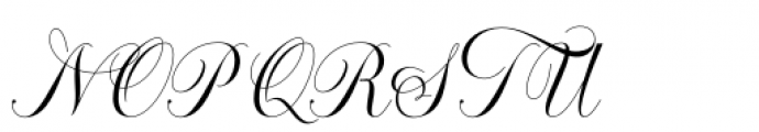 Octagon Calligraphy Regular Font UPPERCASE
