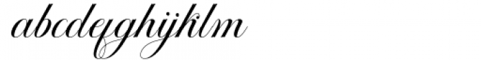 Octagon Calligraphy Regular Font LOWERCASE