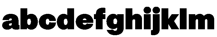 OceanicGrotesk Poster FONT