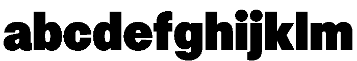 OceanicGroteskCompact Poster FONT