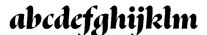 OculiDisplay BlackItalic FONT