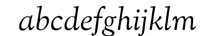 OFL Sorts Mill Goudy Italic Font LOWERCASE