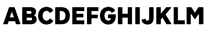 Officer Sans Black Font UPPERCASE