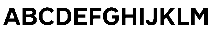 Officer Sans Bold Font UPPERCASE
