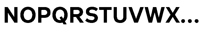 Officer Sans Bold Font UPPERCASE