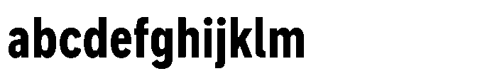 Officer Sans Condensed Heavy FONT