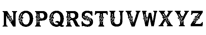 Ogee Regular Font LOWERCASE