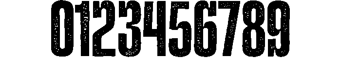 Ohaus Regular Font OTHER CHARS
