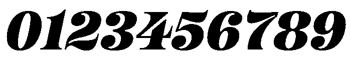 OkaySerif BoldItalic Font OTHER CHARS