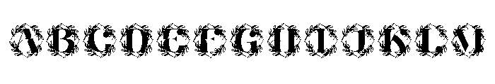 Olivara Monogram FONT