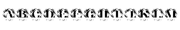 Olivara Split Monogram FONT