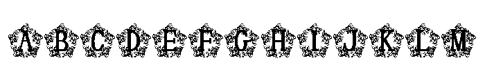 Oliveora Monogram FONT
