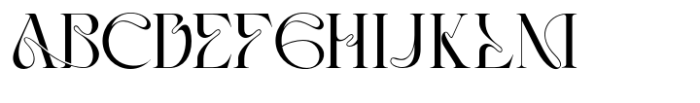 Ola Braga Elegant Serif Font UPPERCASE