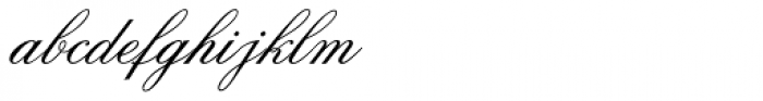 Old Fashion Script Font LOWERCASE