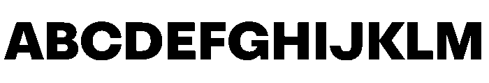 OldschoolGrotesk ExtraBold Font UPPERCASE