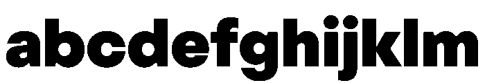 OldschoolGrotesk Heavy FONT