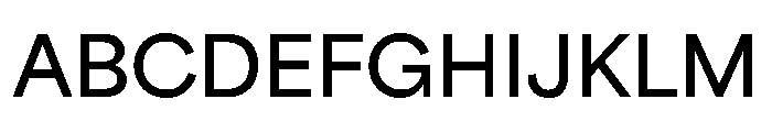 Omnes Variable Bold Font UPPERCASE