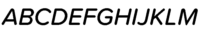 Omnes Variable Medium Italic Font UPPERCASE