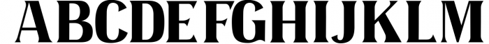 Omenica - Serif font Family 1 Font UPPERCASE
