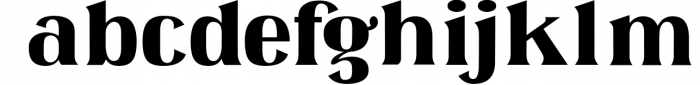 Omenica - Serif font Family 1 Font LOWERCASE