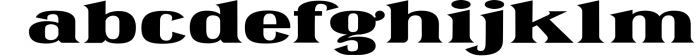 Omenica - Serif font Family 2 Font LOWERCASE