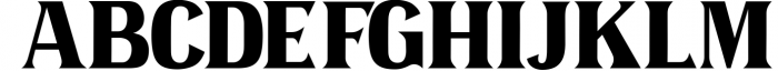Omenica - Serif font Family 3 Font UPPERCASE