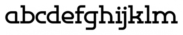 Omni Serif Bold Font LOWERCASE