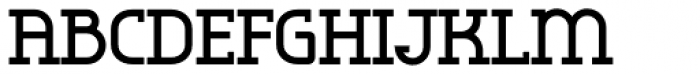 Omni Serif Bold Font UPPERCASE