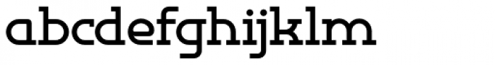 Omni Serif Bold Font LOWERCASE
