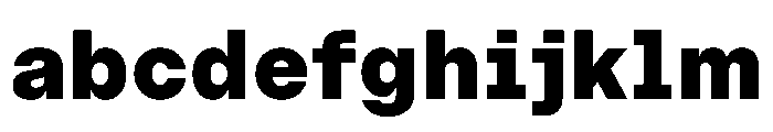 OnsiteSemiMono Extrabold Instance FONT